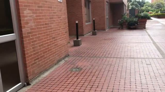 Жизнь среднего класса в Колумбии / La Vida De Clase Media En Colombia