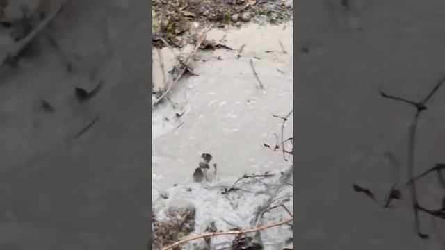 Самая эффективная чистка скважин смотреть онлайн