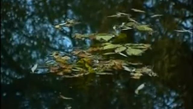 Баковка смотреть онлайн