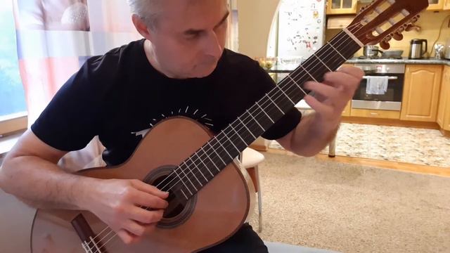 Matyukhin Mikhail plays Musica y Vino by Alfred Feenstra, classical guitar смотреть онлайн