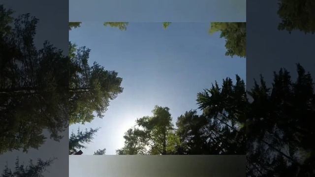 Курапаты - мемориал для живых смотреть онлайн