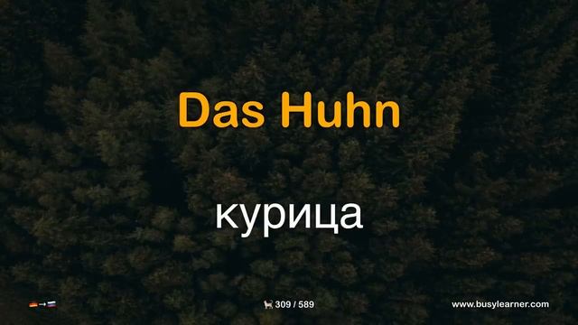 Полезные немецкие слова и фразы по темам для начинающих. Учим немецкий язык, слушая музыку. (16 тем смотреть онлайн