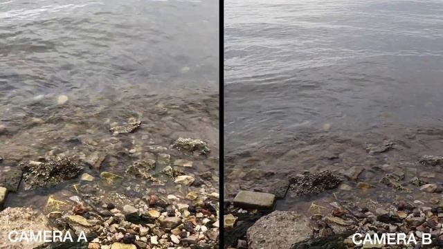 CANON M50 Vs IPHONE X СРАВНЕНИЕ КАМЕР | ЧТО ЛУЧШЕ ДЛЯ БЛОГА?