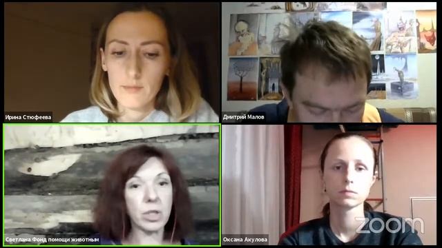 Уютный приют. Как помогать животным и избавлять планету от мусора смотреть онлайн
