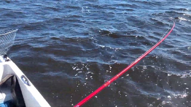 Эмоциональное видео как мы сомика поймали) смотреть онлайн