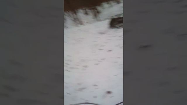 Я отправился в Ясную поляну и увидел могилу Л.Н. Толстого . смотреть онлайн