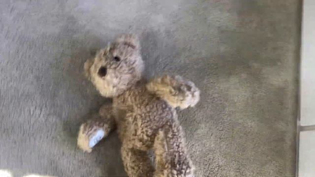 My bear alpha sam plush смотреть онлайн