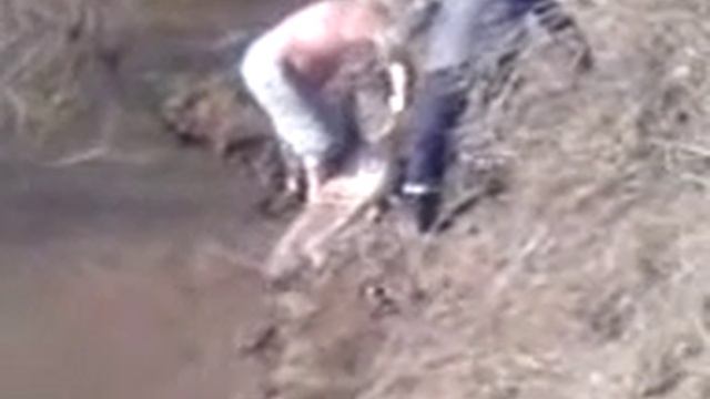 большая рыба сом смотреть онлайн