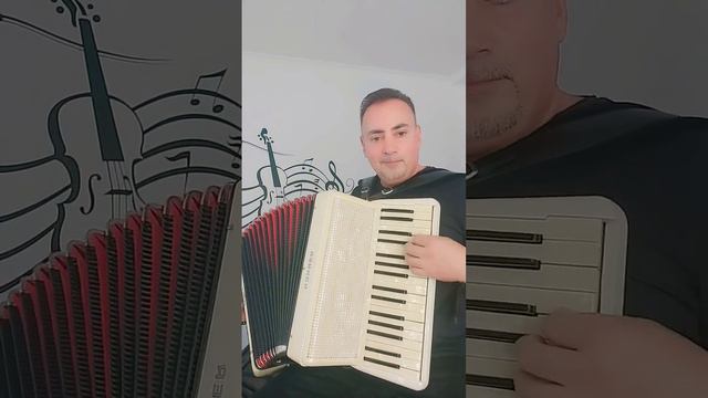 Proba Hohner Verdi 2 sita bijuterie rara 🪗 смотреть онлайн