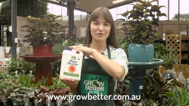 Grow Better Plant Starter смотреть онлайн