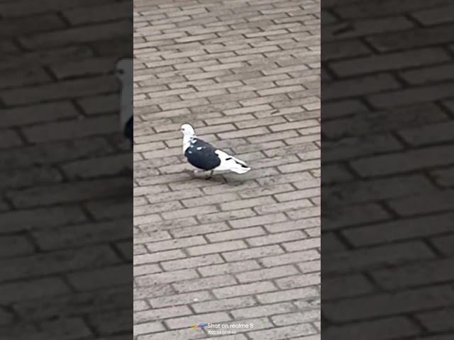 1 июня 2022 г. смотреть онлайн