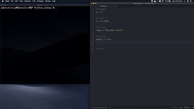 NEW!!! Python for Beginners - Variables смотреть онлайн