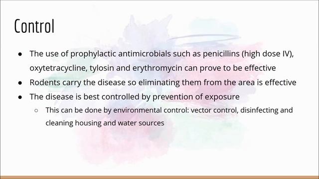 PHP 510 Group 3 presentation Leptospirosis смотреть онлайн