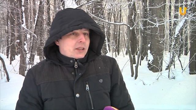 Глазами животных. Дратхаары. смотреть онлайн