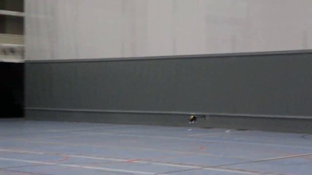 T-Rex 250 Pro DFC indoor flight смотреть онлайн