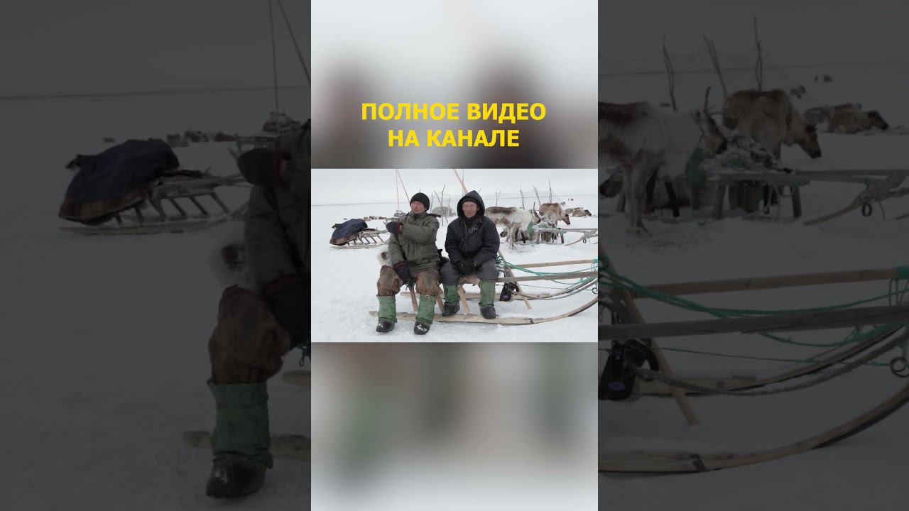 7. Дыхание Арктики Малоземельская тундра смотреть онлайн