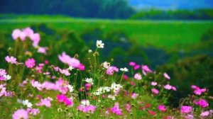 12 апреля народный праздник ИОАНН ЛЕСТВИЧНИК. Что нельзя делать. Народные приметы и традиции.