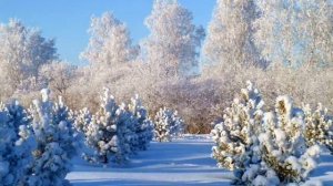 Снег летит Кевин Маккой