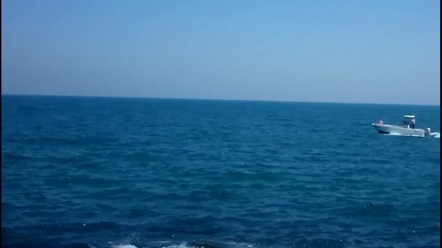 Ловля саргана на резинку. Ловля с берега саргана. Catching of garfish смотреть онлайн