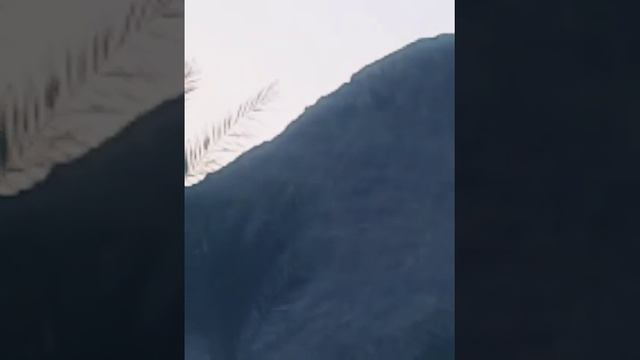 Баллада о любви.Высоцкий.Стихи.Читает Эстэр. смотреть онлайн