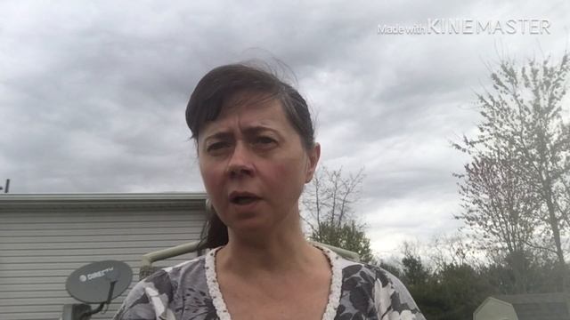 VLOG.АМЕРИКА. Как можно ЭТИМ кормить детей? Суп с щавелем. Обманули в Бургер Кинг.