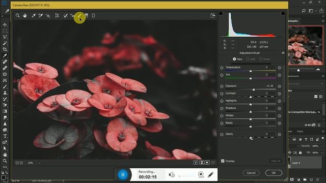 Adobe Photoshop Cc 2018: smart object : filter camera raw смотреть онлайн