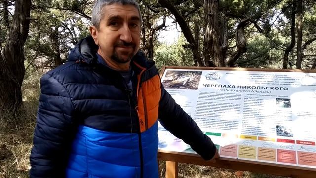 Анапа. Заповедник Утриш - секреты огромного каньона. 700-летний можжевельник!!! Экскурсия! смотреть онлайн