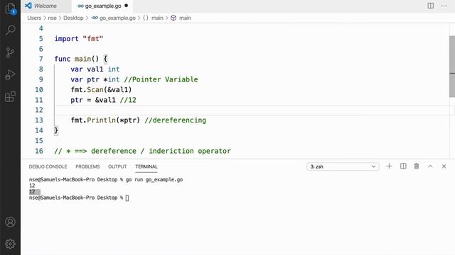 08 | Pointers in Go Lang | Go Tutorial | Go Lang Programming смотреть онлайн
