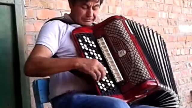 Лукьян Хиабахян!!! (баян) в с.Большие Салы !!! смотреть онлайн