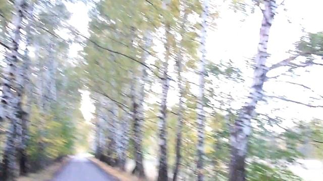О девочке, пропавшей в Богородицке смотреть онлайн
