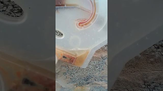 ремонт посудомоечной машины бош .теплообменник удаляем жир смотреть онлайн