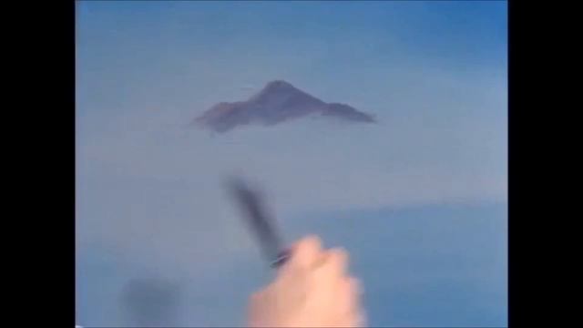 Moss And Süsswassertang Care Guide - Java Moss, Flame Moss, Weeping Moss, Willow Moss Etc. смотреть онлайн