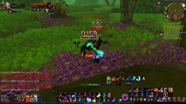Warlock Leveling - World of Warcraft Classic Demonstration - Succubus over Voidwalker смотреть онлайн