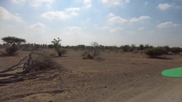 Sharjah Safari - A complete tour