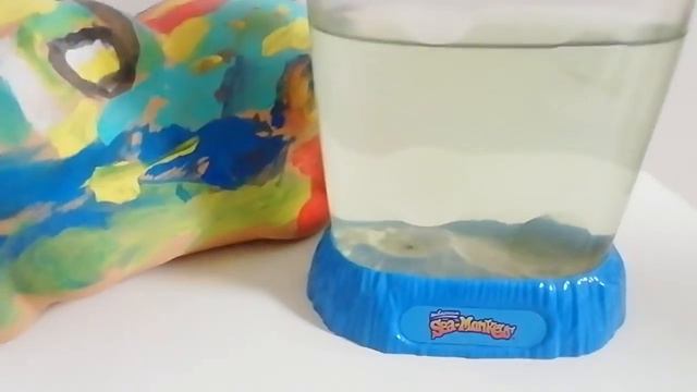 показываю двадцатепервый день своих морских животных смотреть онлайн