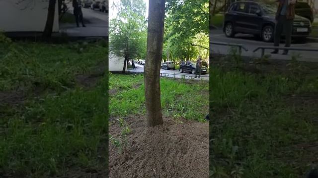 Консьерж - урод! СМОТРЕТЬ С СУБТИТРАМИ смотреть онлайн