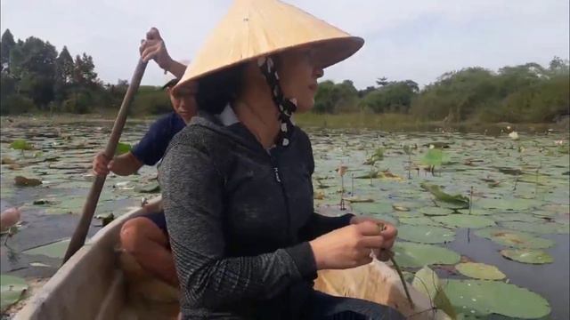 The Most Beautiful Lotus Lake In Binh Phuoc In VietNam| Catholic audio смотреть онлайн