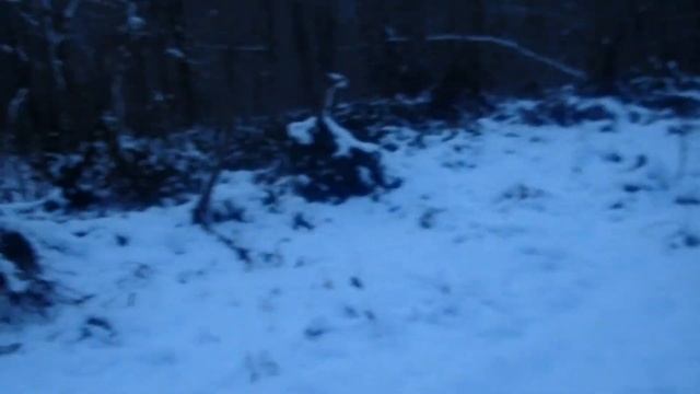 Абхазия, январь 2020 смотреть онлайн