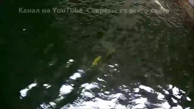 ПХУКЕТ ШИКАРНЫЙ ОТЕЛЬ BAAN LAIMAI BEACH RESORT & SPA 5 звезд С ВОДОПАДОМ И РЫБКАМИ смотреть онлайн