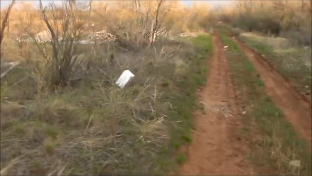 ОРЕНБУР ЛЕСОПОСАДКА свалка смотреть онлайн