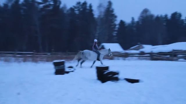 Наша нова ученица ,уже во всю скачет голопом!! смотреть онлайн
