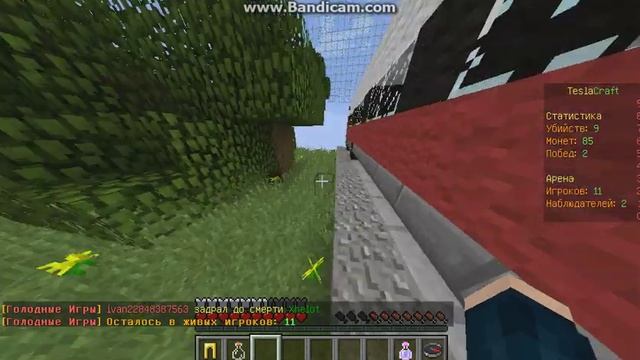 Голодные игры в майнкрафте с другом по скайпу смотреть онлайн