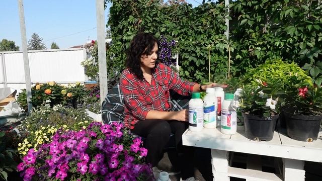 топ 10 препаратов из нашей аптечки для цветов. смотреть онлайн