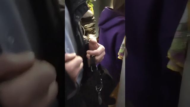 В Тольятти украли кота из приюта! смотреть онлайн