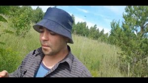 Открываем сезон, в лес по ягоды! Лесные ягоды   земляника лесная   ягода малина