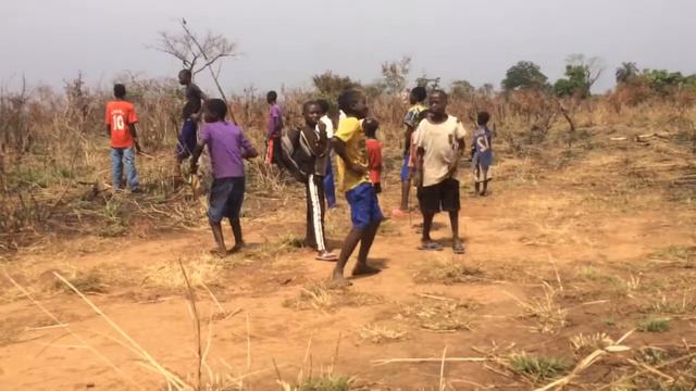 Солнечное конго. смотреть онлайн