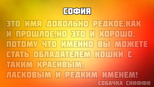 ТОП 5 ИМЁН ДЛЯ КОШЕК смотреть онлайн