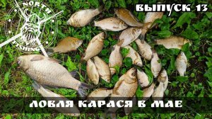 Караси, рыбалка на деревенском водоеме. улов в мае