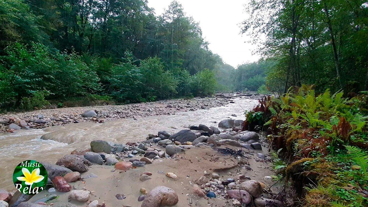 Sound of rain and Mountain river - Relax in the Mountains смотреть онлайн