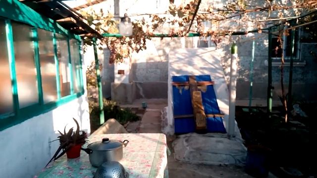 Котята- 3 октября 2016 г. Аджимушкай, Керчь. смотреть онлайн